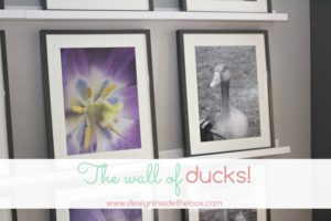 A feature wall of ducks!