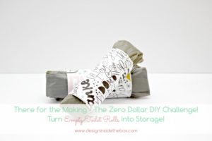 Turn empty toilet rolls into storage! www.designinsidethebox.com